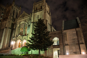 Fototapeta na wymiar Gothic Cathedral at Night