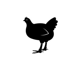 a hen icon. Element of farming and garden icons. Premium quality graphic design icon. Signs, outline symbols collection icon for websites, web design, mobile app