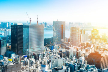 Asia Business concept for real estate and corporate construction - panoramic modern city skyline bird eye aerial view with crane near tokyo tower under bright sun and vivid blue sky in Tokyo, Japan