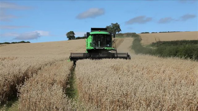 Deutz-Fahr Combined Harvester; Wheat Harvesting; North Yorkshire, England