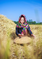 Naklejka na ściany i meble farmer woman threshed rice in field
