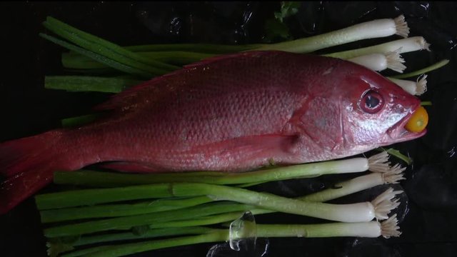 Raw whole fresh Red Snapper on a bed of green onions displayed on a dark background with a kumquat in its mouth.