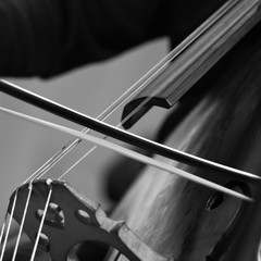 Fiddlestick on strings of double bass closeup in black and white tones