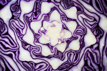 Obraz premium Macro shot of cut red cabbage
