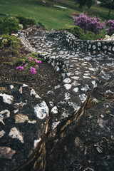 Green lush beautiful gardens in Ipswich inner city, Queensland.