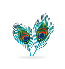 Abstract bird feather vector