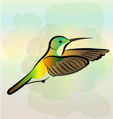 Hummingbird flying vector icon