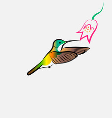 Hummingbird flying with flower, vector icon