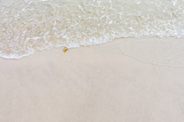 Soft wave of tropical beach
