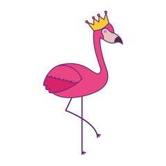 pink flamingo bird exotic image vector illustration