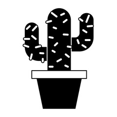 potted cactus natural decoration ornament vector illustration pictogram design