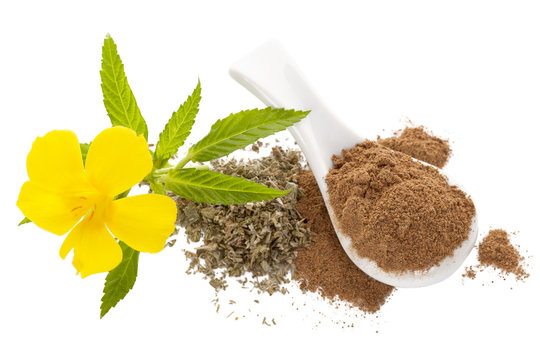 Damiana flower and damiana dried leaves and powder