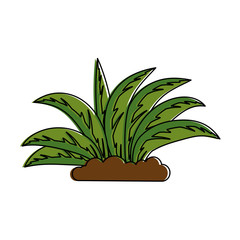 plant cultivated isolated icon vector illustration design