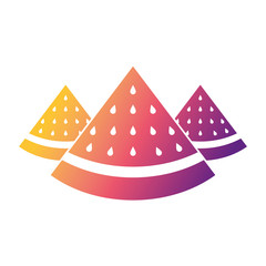 three slice watermelon fruit tropical vector illustration