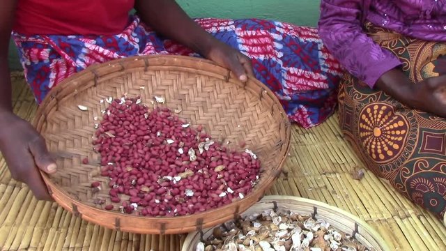 African Peanut Shelling/Sorting