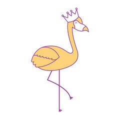 flamingo crown bird exotic image vector illustration yellow design