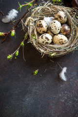 Obraz premium Easter Eggs in Nest