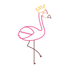 flamingo crown bird exotic image vector illustration color line