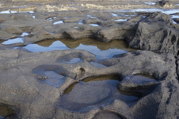 三浦の海　海岸　水平線　 潮溜まり