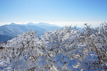 photo taken during the mountain hikeing