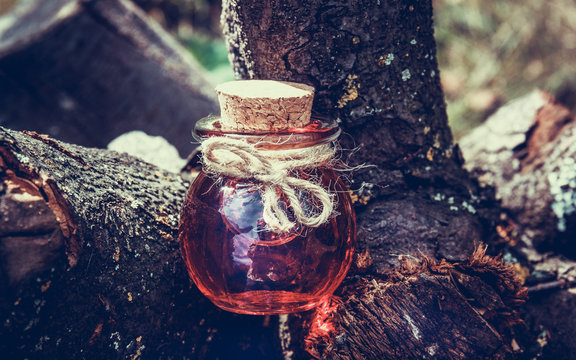 Sorcery potion in the forest. Love Potion. Magic and Sorcery