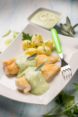 fish fillet with yogurt cream sauce, selective focus