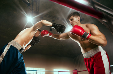 Boxing sparring boxers