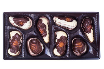 Belgian sweets from black and white chocolate