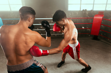 Boxing sparring boxers