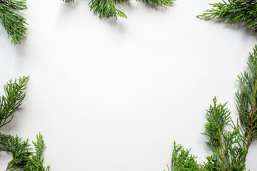 leaf background for text input , isolate