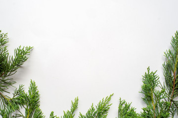 leaf background for text input , isolate