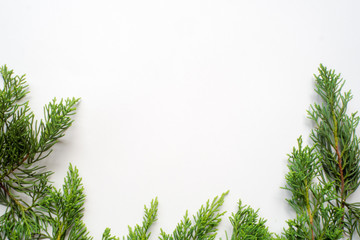 leaf background for text input , isolate