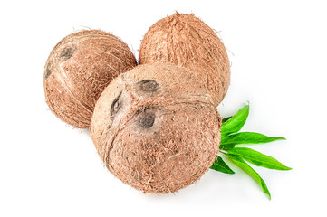 Coconut isolated on a white background cutout
