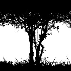 Bush detail silhouette