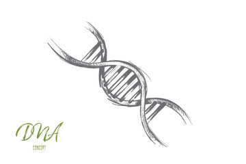 Global warming concept. Hand drawn illustration of DNA molecule structure. Genetic and chemistry research isolated vector illustration.