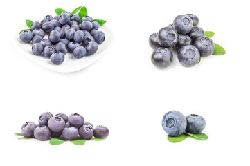Set of bog bilberry isolated on a white background