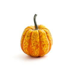 Ripe orange-green pumpkin on a clean white background. Isolated..