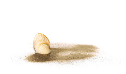 Sea shells in sand pile isolated on white background