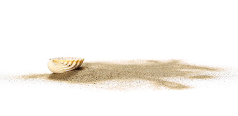 Sea shells in sand pile isolated on white background