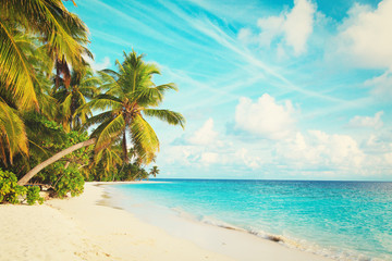 Naklejka na ściany i meble tropical sand beach with palm trees