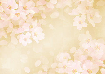和柄日本 チェック 桜