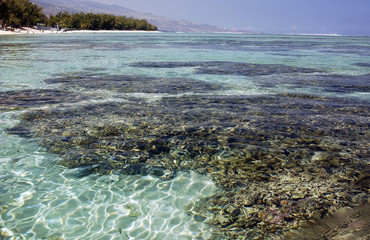 sea