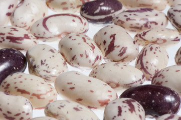 Greek traditional beans barbounia white