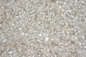 Greek traditional white rice karolina