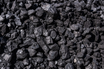 Pieces of black coal
