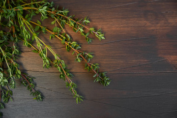 Branch of thyme on a dark wooden board. Free place for the inscription.