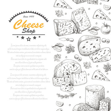 Vertical background with cheese products