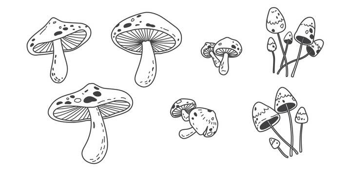 Mushroom Icon Vector Illustration Doodle Logo