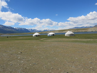 Fototapeta na wymiar Mongolia sheep - traditional lifestyle and landscape in west Mongolia