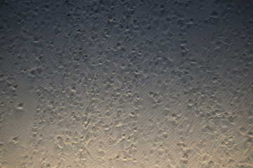 Aerial view of a beach